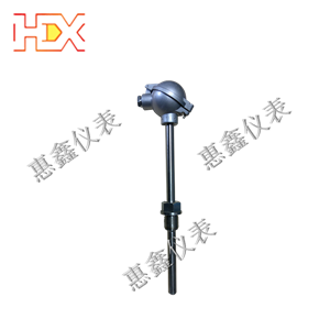 防爆熱電阻 防爆熱電阻